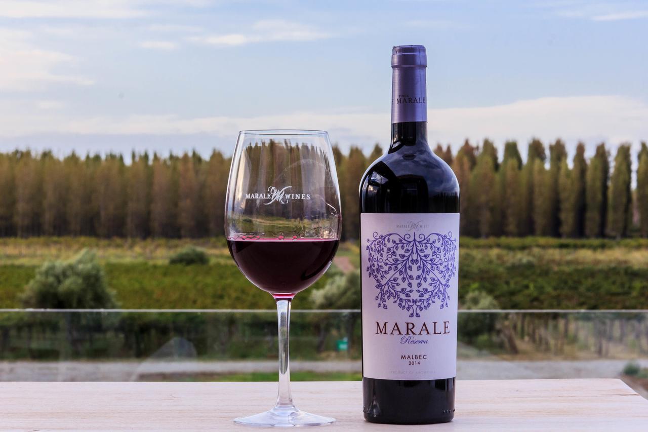 Villa Media Agua Marale Wines Hotel Boutique מראה חיצוני תמונה